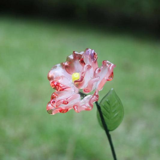 Glass Carnation – January Birth Flower, Handmade Keepsake Gift